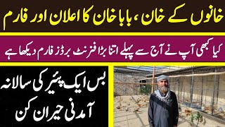 Khan Baba's Biggest Pheasant Farm in Pakistan | One Pair Income is Awesome | Best Business Idea