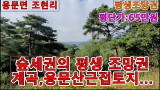 용문면 조현리 숲세권 전원주택지/양평 용문면/토지/계곡/전원주택지