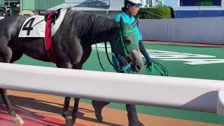 2023.9.19 浦和🐎8R インカローズムスメ