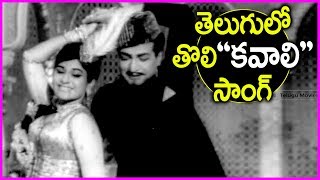 NTR Super Hit Qawwali Song In Telugu - Bhale Tammudu Movie Songs