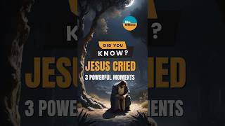 Do You Know Jesus Cried? | Bible Brilliance #bible #bibleverses #christian