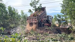 Perfect Extreme Landfilling Operator Komatsu D31P Clearing Land,Delete Tree \u0026 5T Trucks Unloading