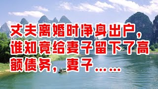 丈夫离婚时净身出户，谁知竟给妻子留下了高额债务，妻子…… -  情感故事 2023