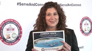 HOW DO I: See where my county tax dollars are going