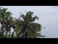 kumbalangi homestay 600 കുമ്പളങ്ങി 600 head puzhayoram homestay