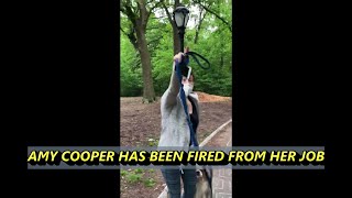 Amy Cooper Fired After Viral Central Park Video | Christian Cooper