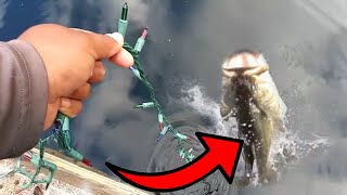 CHRISTMAS FISHING CHALLENGE!