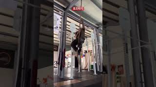 크로스핏터의 할로윈 즐기는법(#김계란 #피지컬갤러리 #할로윈 #운동 #crossfit #크로스핏 #토투바)