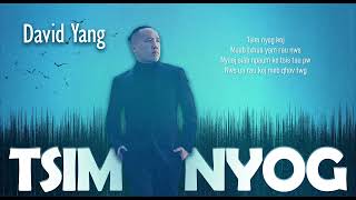 Tsim Nyog - David Yang ( LYRICS )