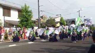 纏り衆　緑陣　銭形よさこい2016柳町会場