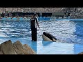 アースが主役の公開トレーニング　　　　＠名古屋港水族館