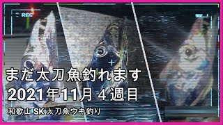 まだ釣れます太刀魚　和歌山SK太刀魚ウキ釣り　2021年11月4週目　ビッグサイズを狙いに