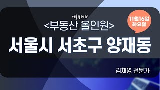 서울시 서초구 양재동｜서울경제TV｜김채영