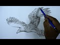 How to draw an eagle step by step