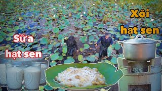 Video 350 Món Ngon Từ Những Hạt Sen Tươi Vừa Hái Ngoài Đồng
