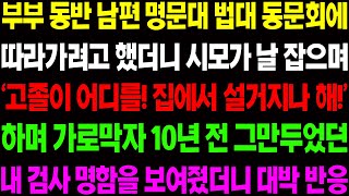 (실화사연) 부부 동반 남편 명문대 법대 동문회에 따라가려고 했더니 '고졸 주제에 어딜 따라가' 하며 시모가 막길래 숨겨왔던 내 정체를.../ 사이다 사연,  감동사연, 톡톡사연