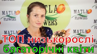 Низькорослі багаторічні весняні квіти