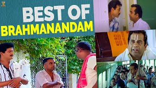 Best Of Brahmanandam | Brahmanandam Comedy Scenes | Telugu Comedy | SP Shorts