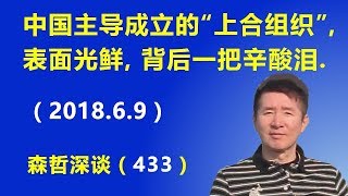 中国主导成立的“上合组织”，表面光鲜, 背后一把辛酸泪.（2018.6.9）