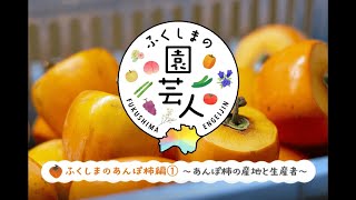 ふくしまのあんぽ柿編①～あんぽ柿の産地と生産者～