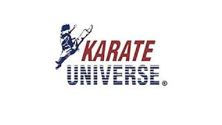 Karate Universe - Fighting Stance