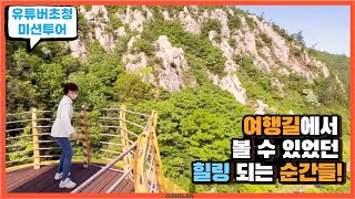 [유튜버초청미션투어] 여행길에서 볼 수 있었던 힐링 되는 순간들!