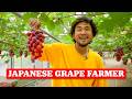 What Growing Premium Grapes in Japan is Like