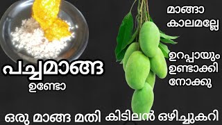 പത്തു മിനുട്ടിൽ ഒരിക്കലും മറക്കാത്ത രുചി പച്ചമാങ്ങാ കൊണ്ട് ഇതുപോലെ ഒരു ഒഴിച്ചു കറി കഴിച്ചിട്ടുണ്ടോ