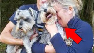 Family Whose Dogs Vanished Into Thin Air Had Only One Last Hope To Get Them Back