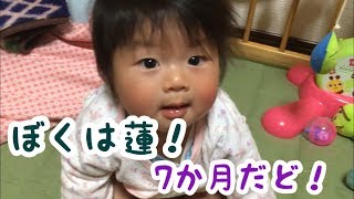 7ヵ月 赤ちゃん育児 犬2匹との共同生活 7monthsBaby\u00262dog