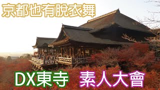 脫衣舞界的奇行種-京都DX東寺素人大會的遙遠回憶~~ #京都 #DX東寺 #脫衣舞 #素人大會