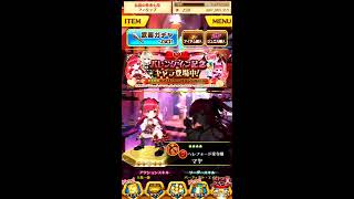 【白猫プロジェクト】バレンタイン記念　ガチャ11連