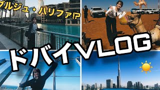 【Vlog】兄妹でドバイ旅行🐪‼️