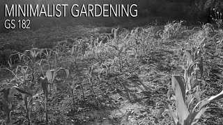 Minimalist Gardening: WHAT DO YOU ACTUALLY NEED TO GARDEN? (Goodstream 182)