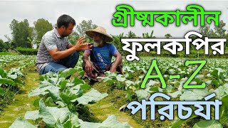 গ্রীষ্মকালীন ফুলকপির A-Z পরিচর্যা!!!