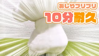 【10分間おしりフリフリ耐久動画】こぎみゅん編【サンリオピューロランド公式】