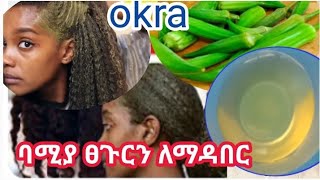 ኦክራ/ባሚያ ፀጉርን ለማዳበር okra  ለፀጉር ያለው ጥቅም#okrarecipe