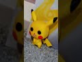 Patrick Gingell review of pokemon pops - Patrick's world