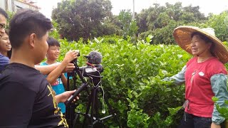 2018神腦紀錄片競賽 小學組佳作 《茉莉花的故鄉》