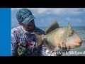 How To Catch A Triggerfish On Fly