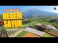 WISATA NEGERI SAYUR SUKOMAKMUR MAGELANG JAWA TENGAH