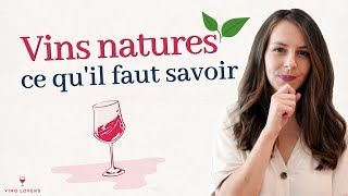 C’est quoi un vin nature ? L'essentiel à savoir sur les vins naturels 🌱