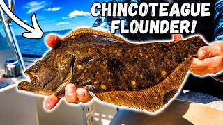 FLOUNDER FISHING Chincoteague Virginia! Spring Flounder Fishing!