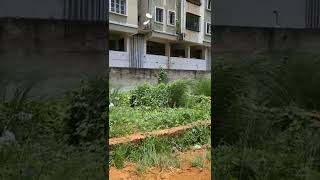 1200 sqft Plot For Sale Backside of Hitech Apartments Orakal  Sundarpada Bhubaneswar Call 9438735113