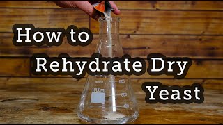 How to Rehydrate Dry Yeast - The Modern Homebrewer