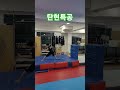 탄현특공무술 체조