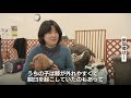 歩けない、寝たきりの犬が増えている　要因は「平均寿命の延び」だけではない　獣医師が指摘する「品種改良」の問題