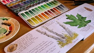Creating a Nature Journal