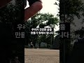 작은 습관이 삶을 바꾼다 shorts 1분감성s