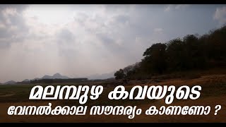 മലമ്പുഴ കവയുടെ വേനൽക്കാല സൗന്ദര്യം കാണണോ ?